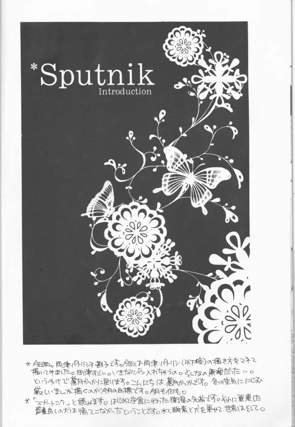 Sputnik Introduction Page.8