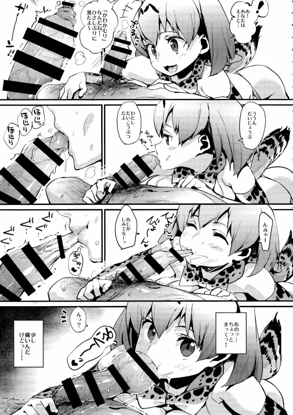 サーバルニップル Page.6