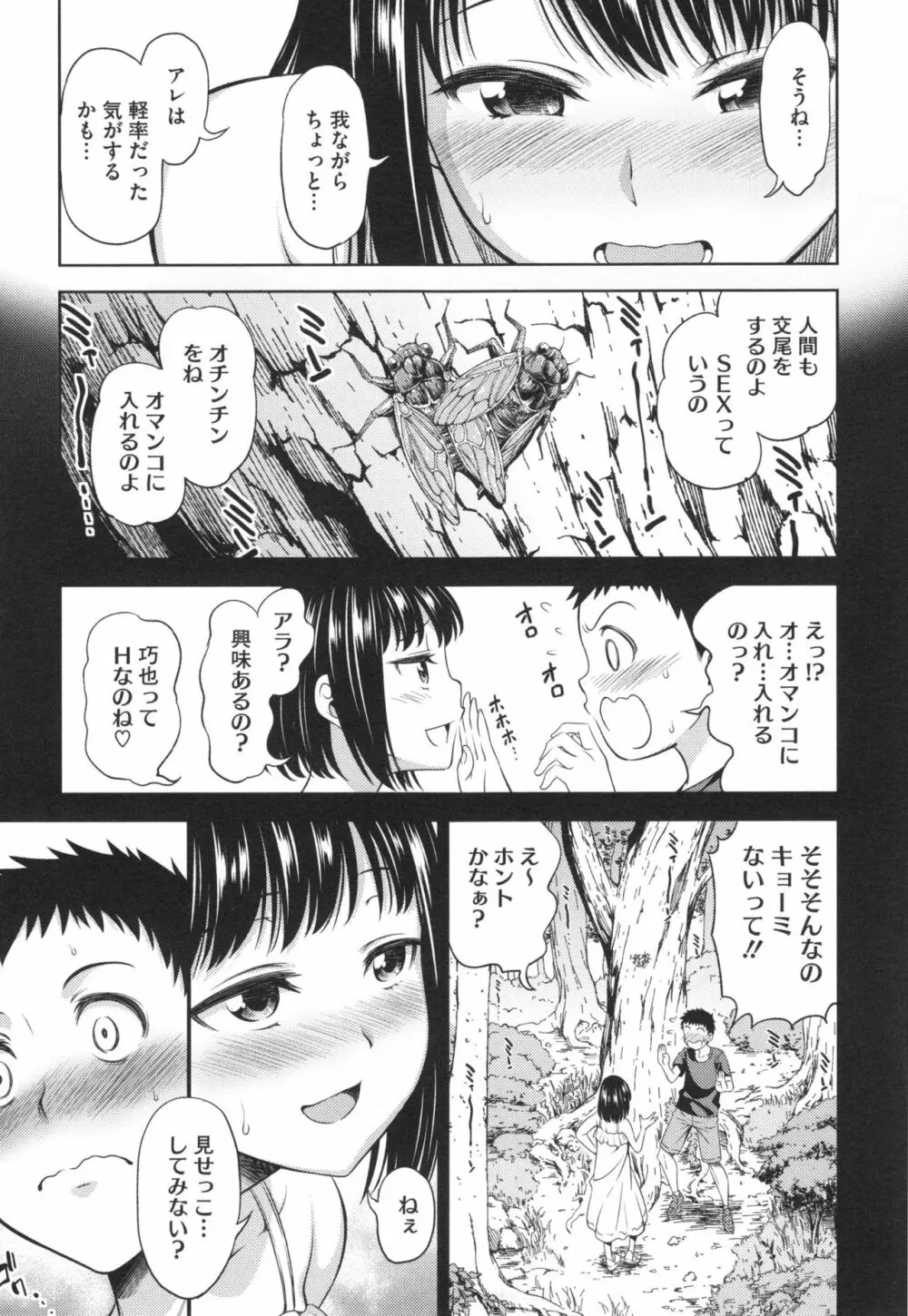 柔肉少女ラブポルノ+ とらのあなリーフレット Page.163