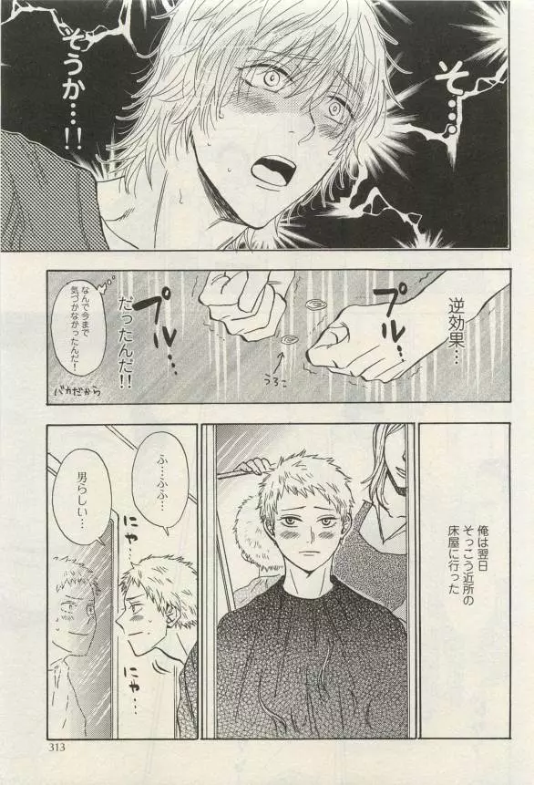 Canna Vol.40 Page.312