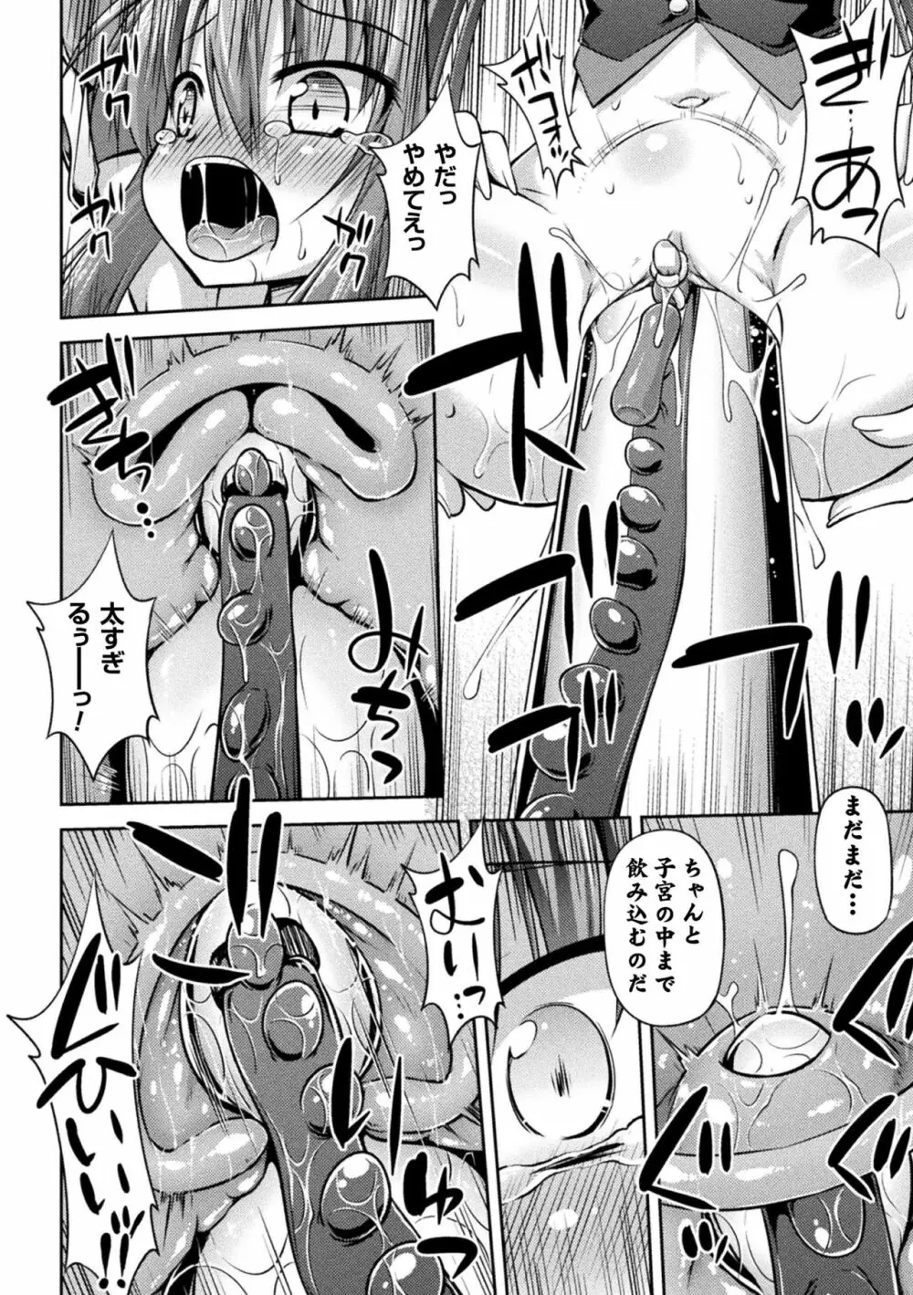 堕ち果てる魔法剣士 Page.14