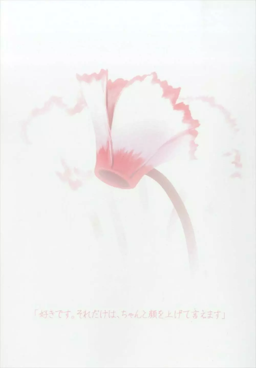 Cyclamen Page.24