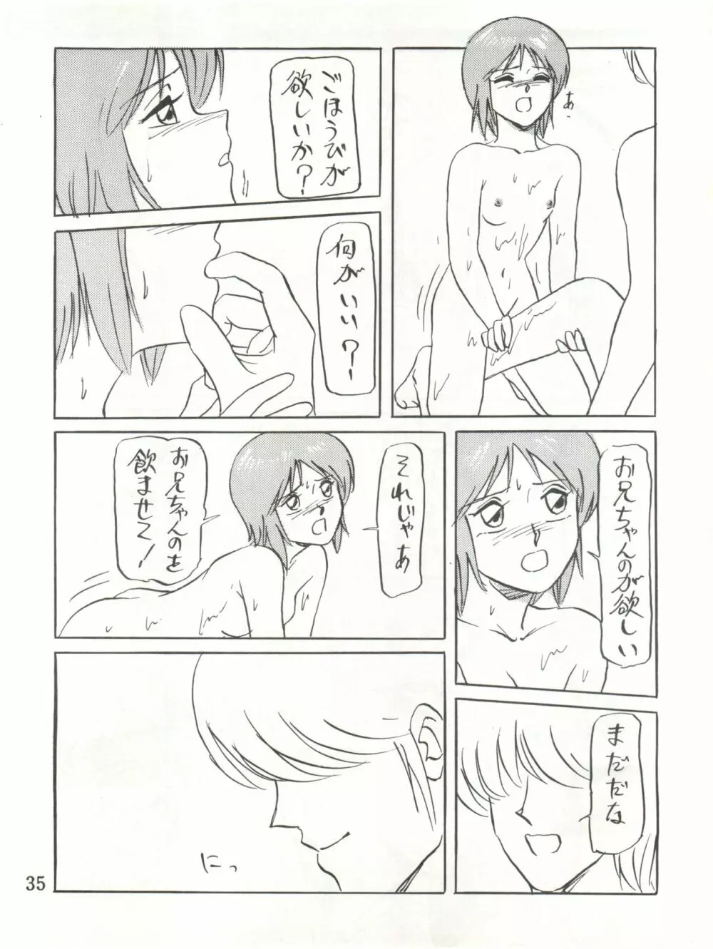 わくわくエルピーらんど PII Page.35