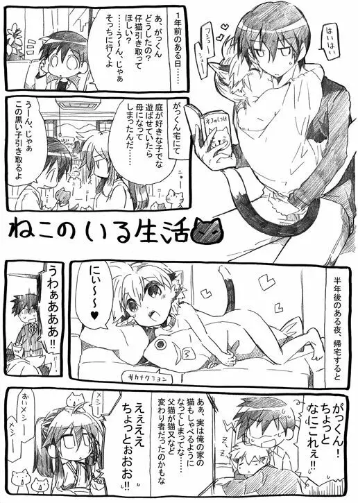 にゃんこのいる生活 Page.3