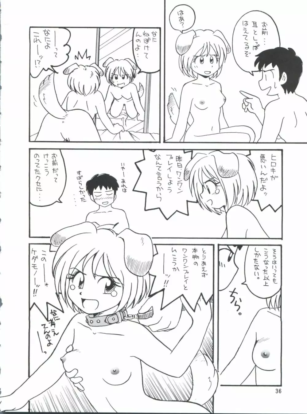 プラスY Vol.26 けもみみっくす 2 Page.36