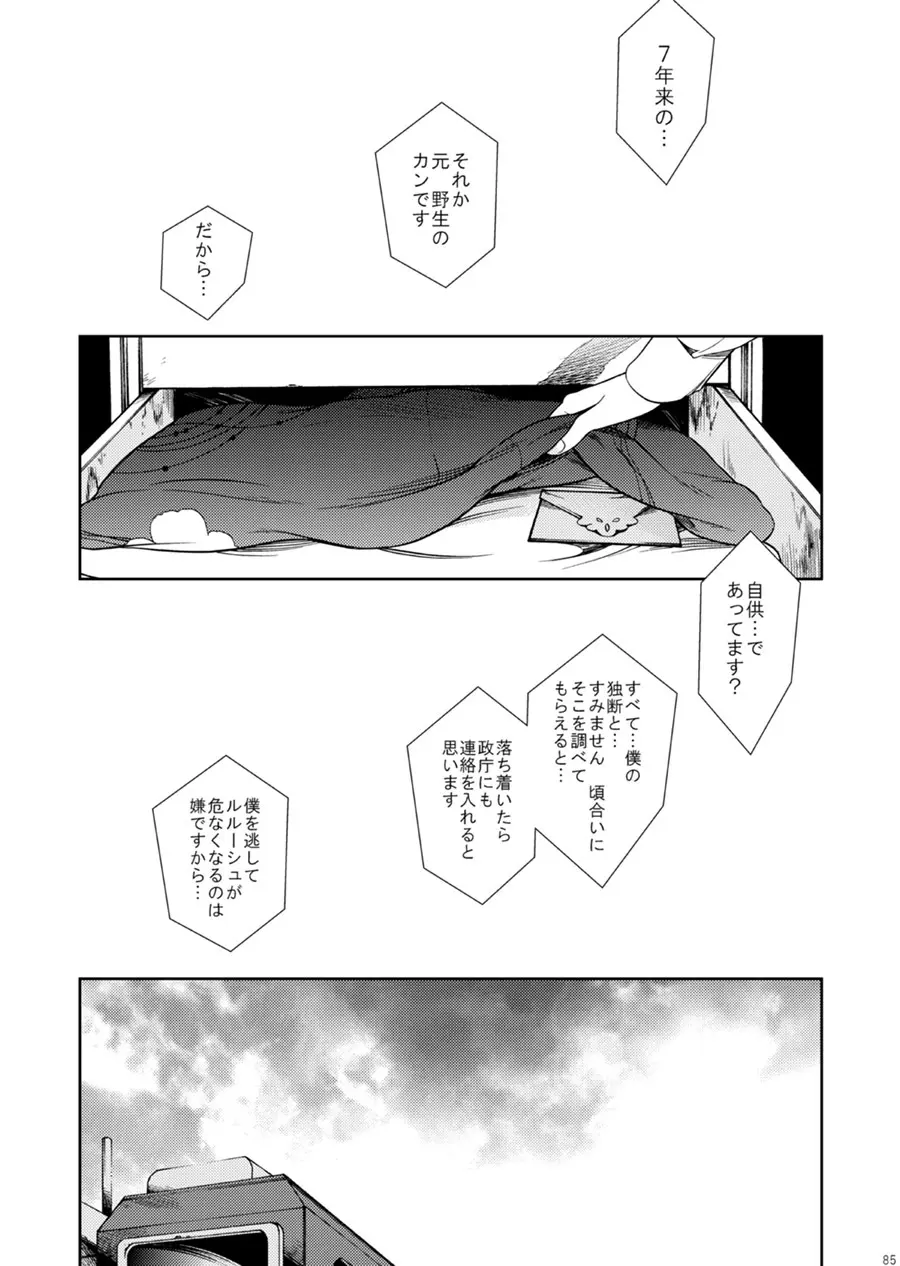 ドロッセルマイヤーの宝石箱 Page.84