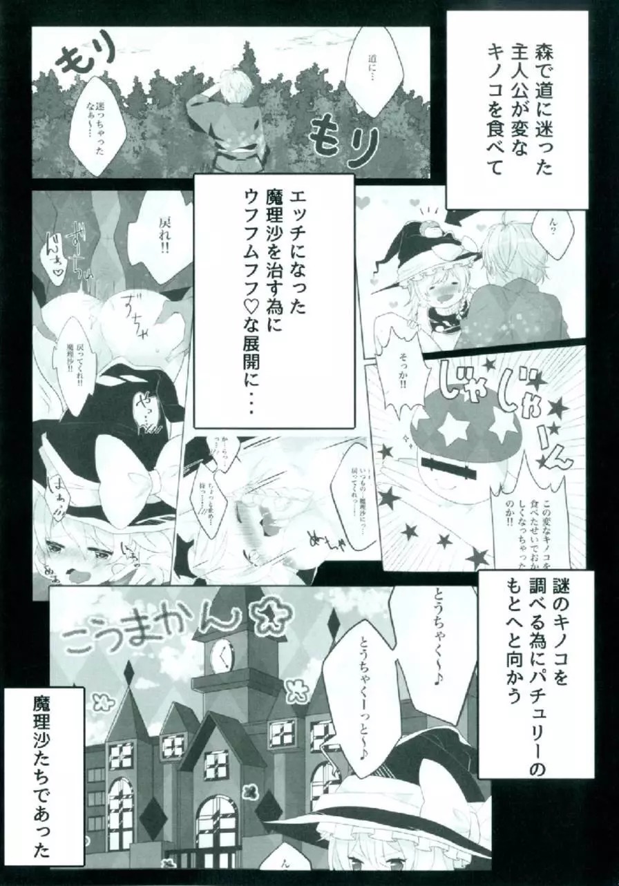 えっちな幻想郷～パチュリーとえっちな魔法編～ Page.3