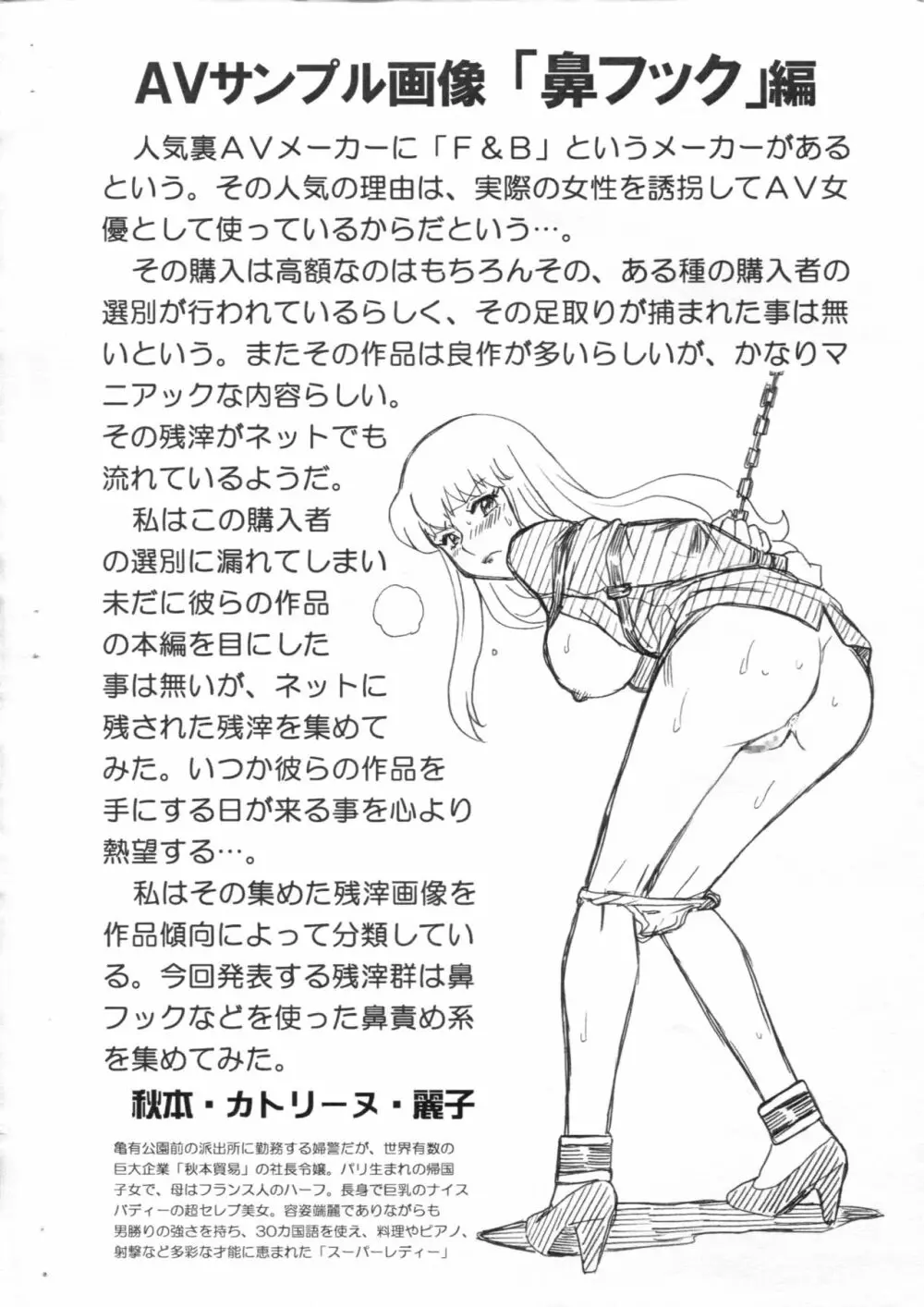 F＆B AV SAMPLE FILE 秋本・カトリーヌ・麗子 画像集 Page.2