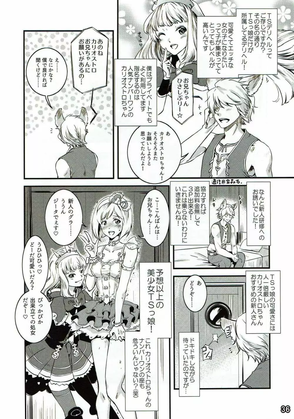 騎空士の隠れ家2 Page.36