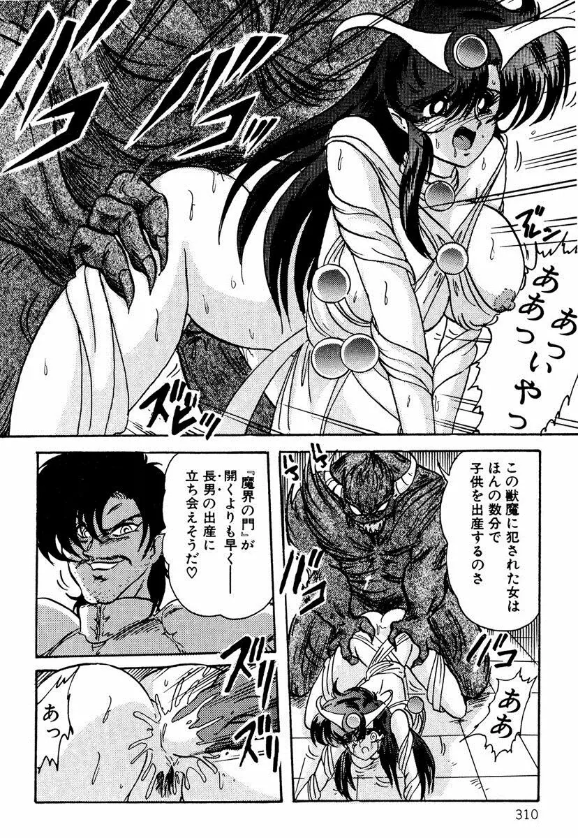 精霊特捜フェアリィセイバー EX Page.309