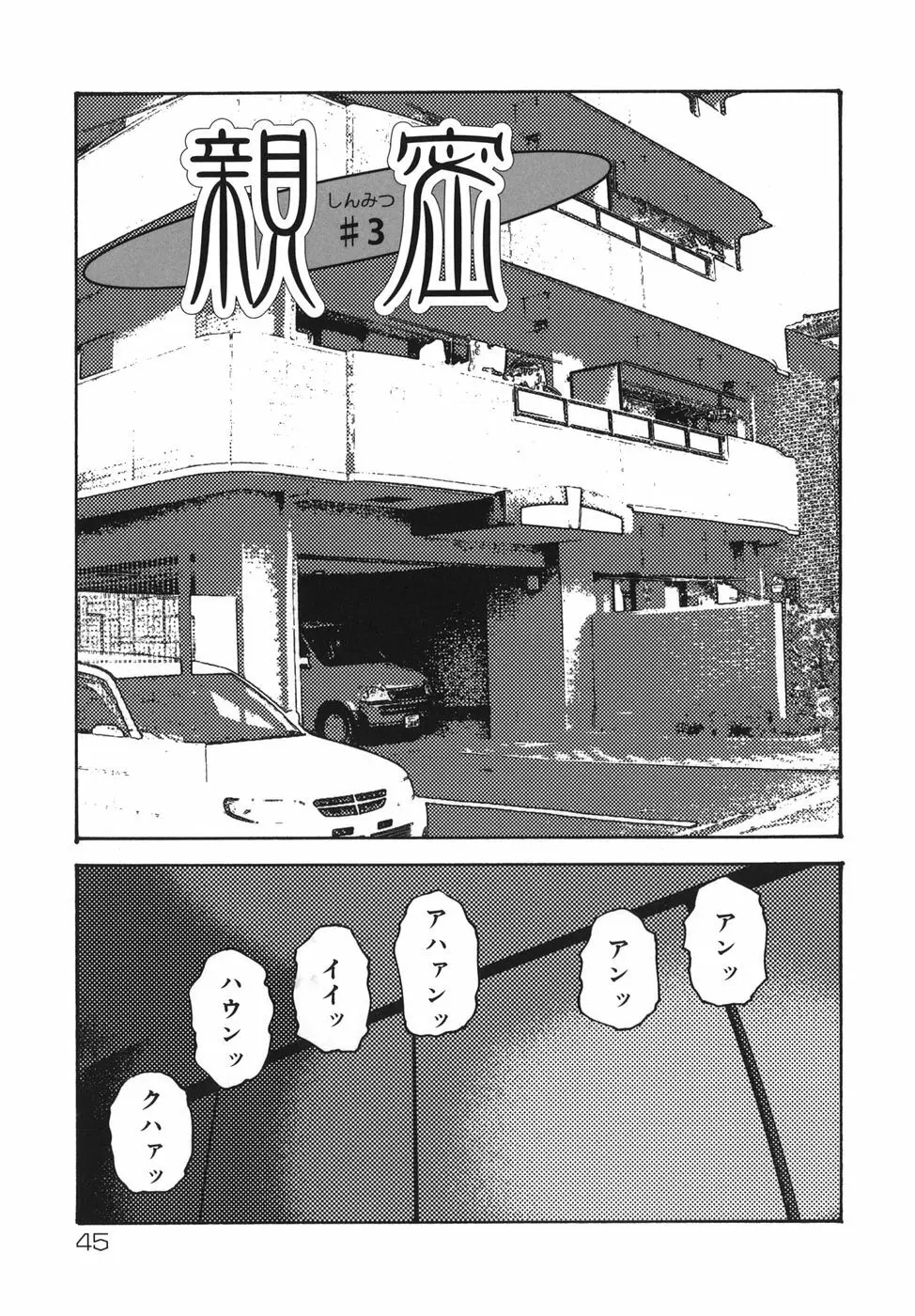 親密 ～艶母たちの秘愛相姦～ Page.45