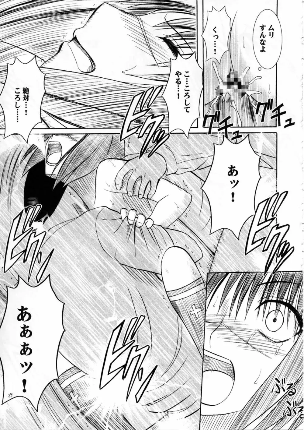 斗う貴き女 2 Page.29