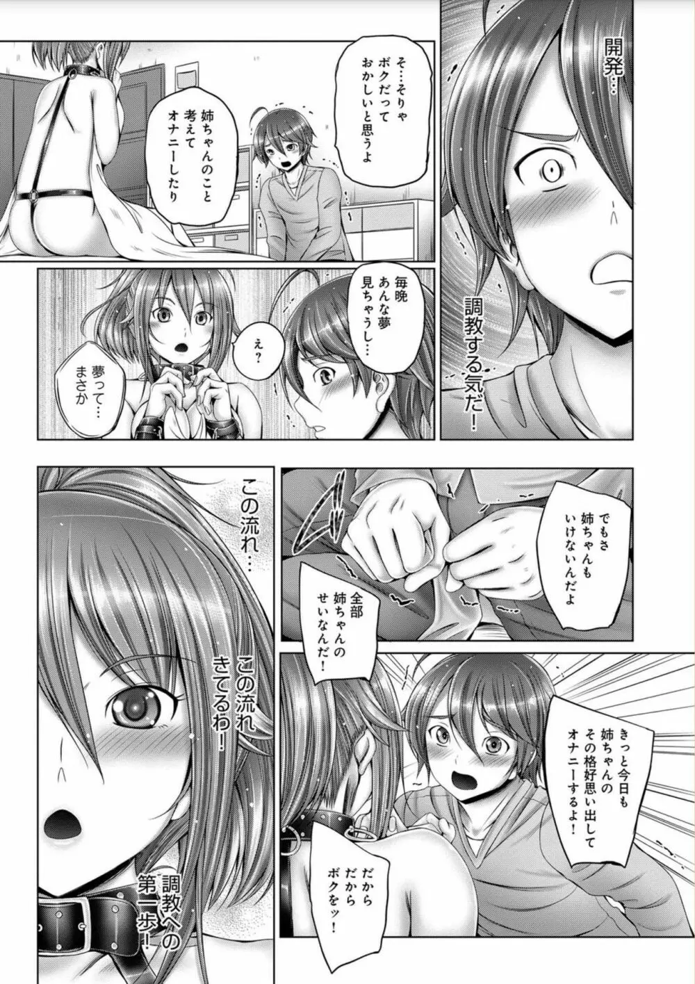 アネスリウム Page.147