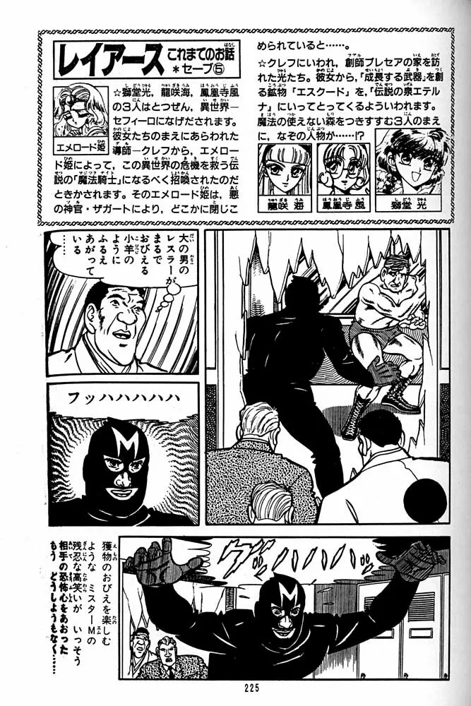 大キ林 Page.224