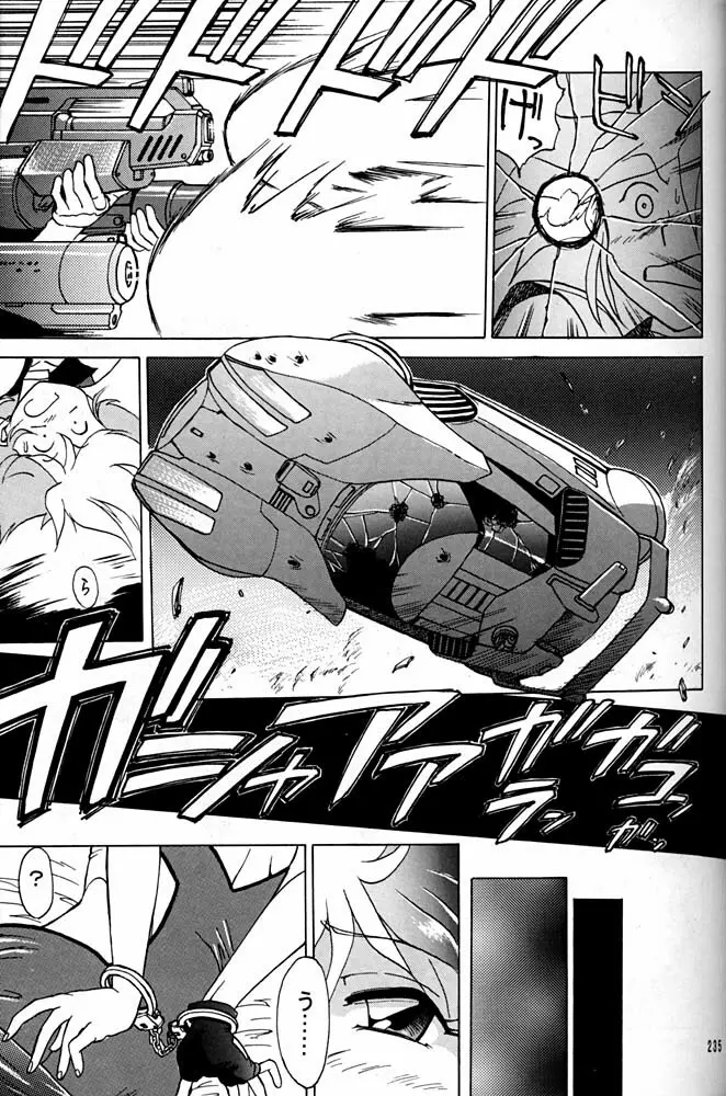 大キ林 Page.234