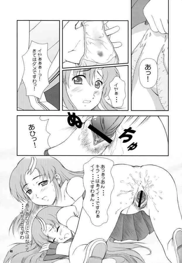 BATTLE OF TWINS～結末の絆～ Page.40