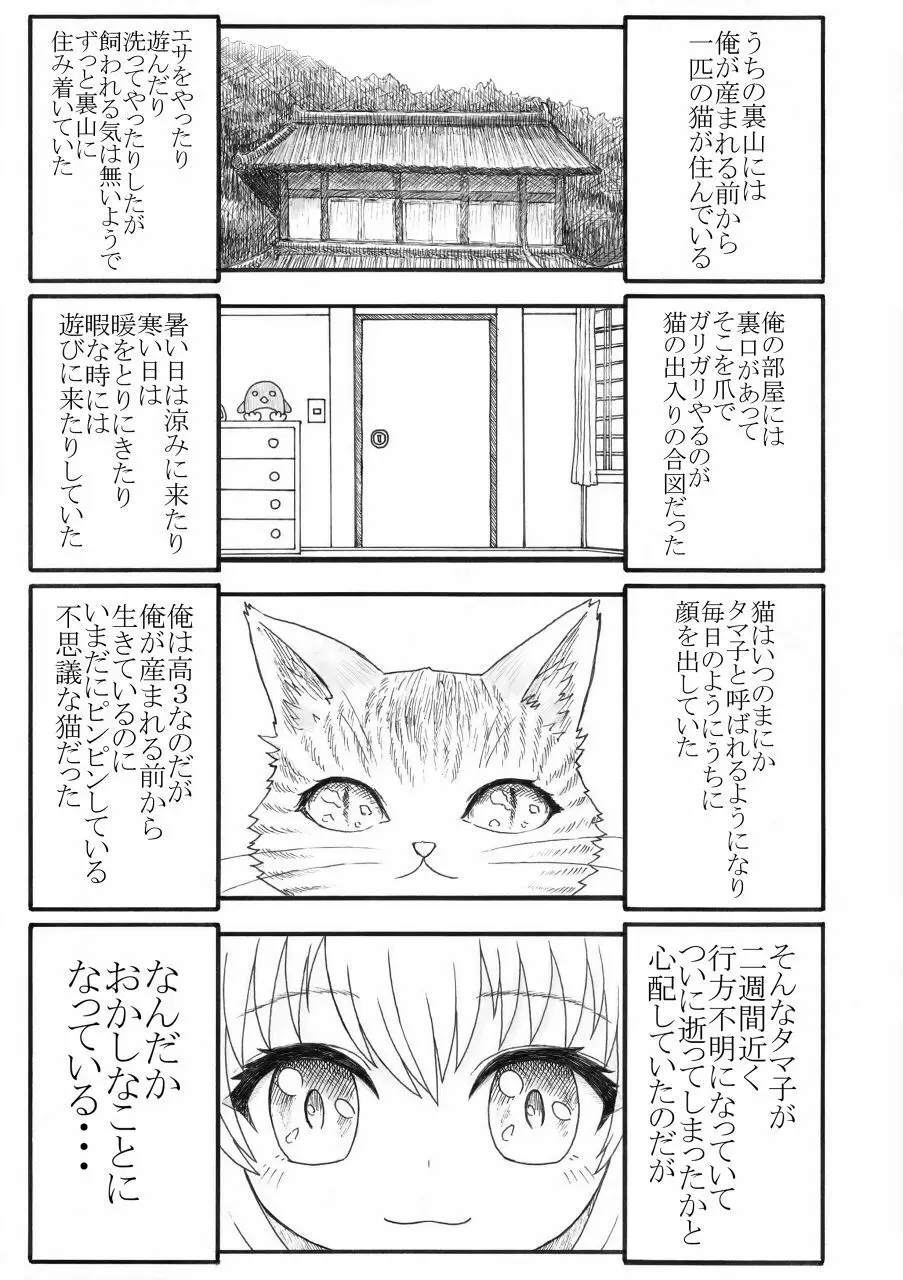 化け猫の恩の返し方 Page.2