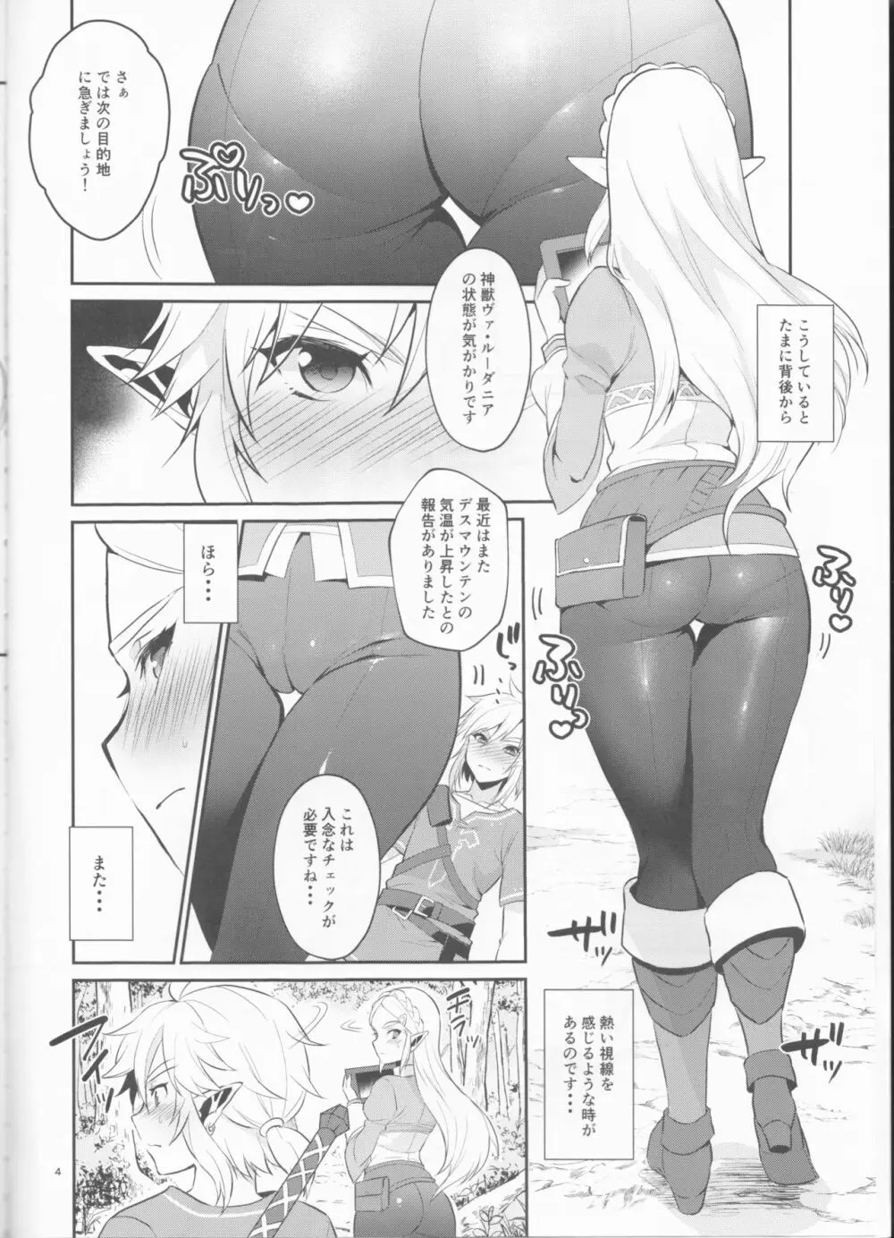 ハイラル繁栄のためのかつどう! Page.5