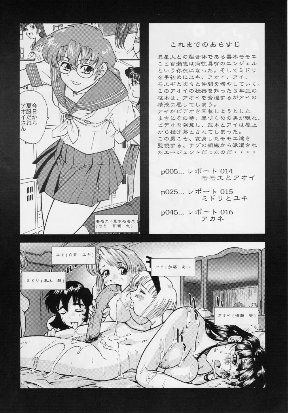 ダルシーレポート 5 Page.3