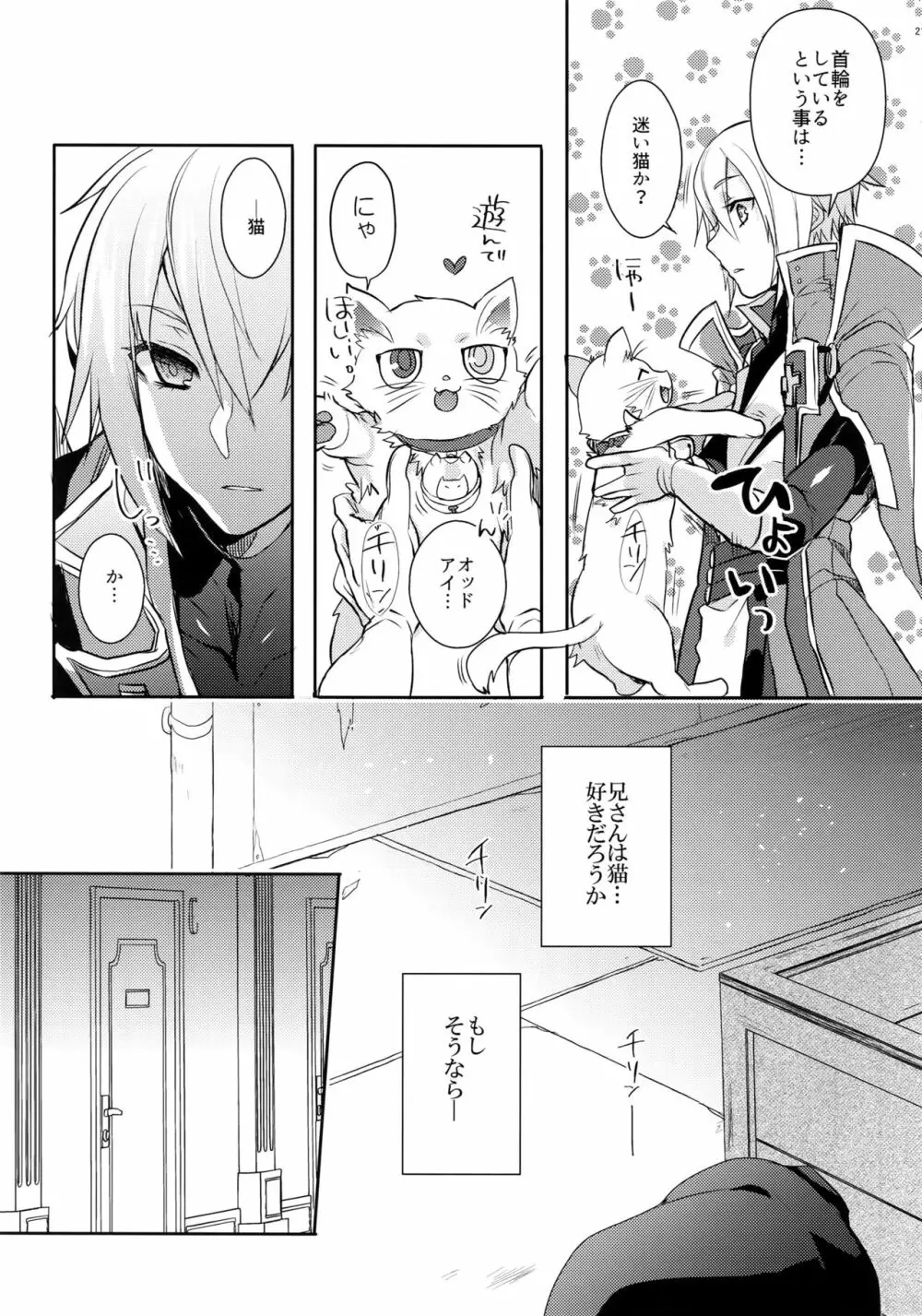 とある衛士の妄想日誌 Page.22