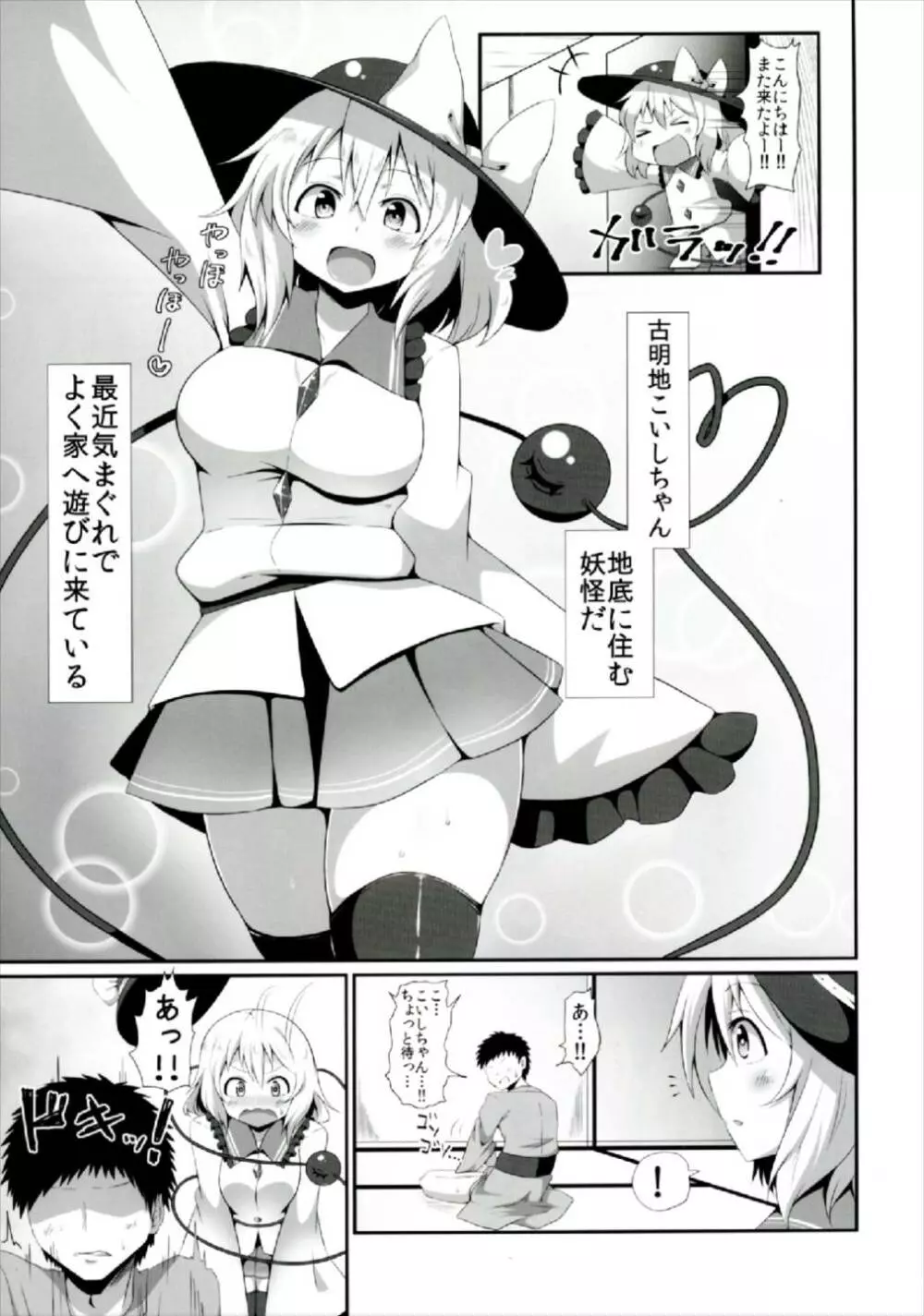 こいしちゃんのえっちな本まとめ! Page.27