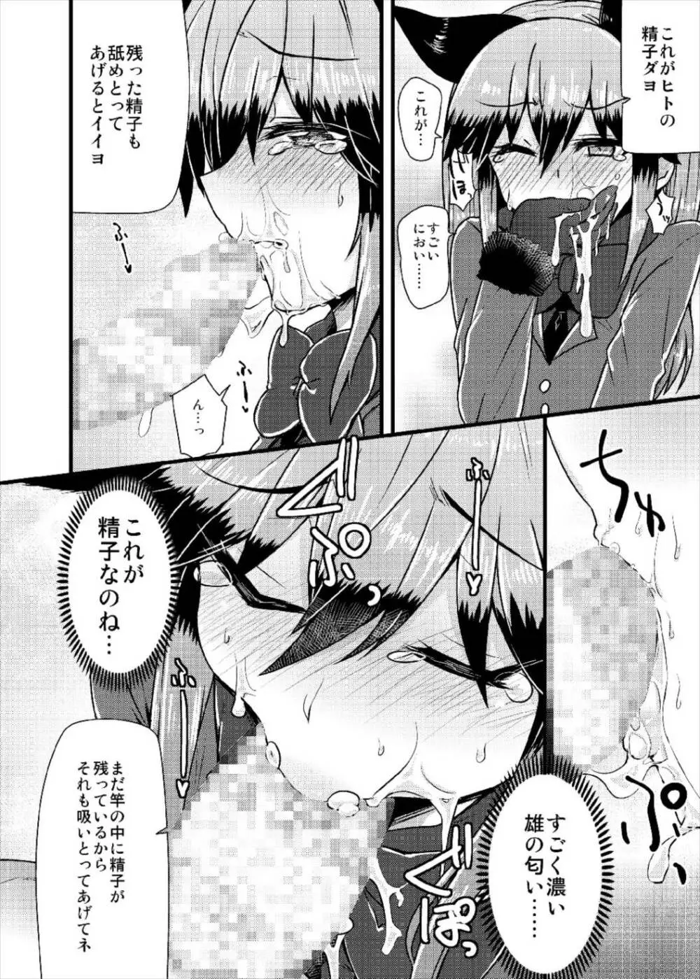 ギンギツネちゃんにヒトの交尾をおしえたいっ Page.12