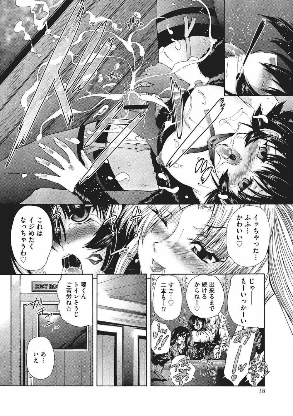 妖女の如き装うもの Page.17