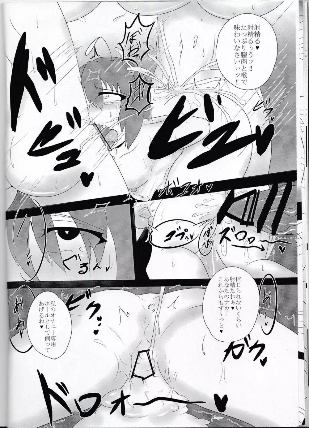 東方双珍録～風見幽香～ Page.15