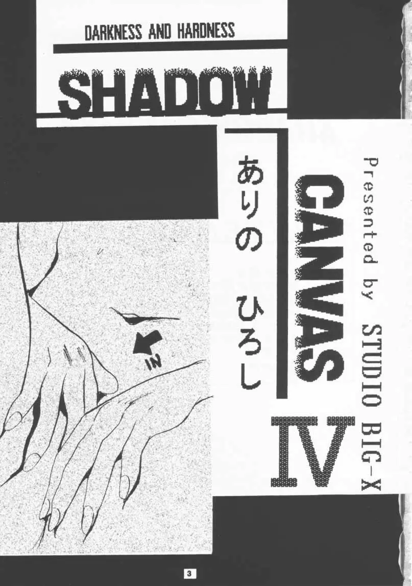 SHADOW CANVAS 4 Page.2