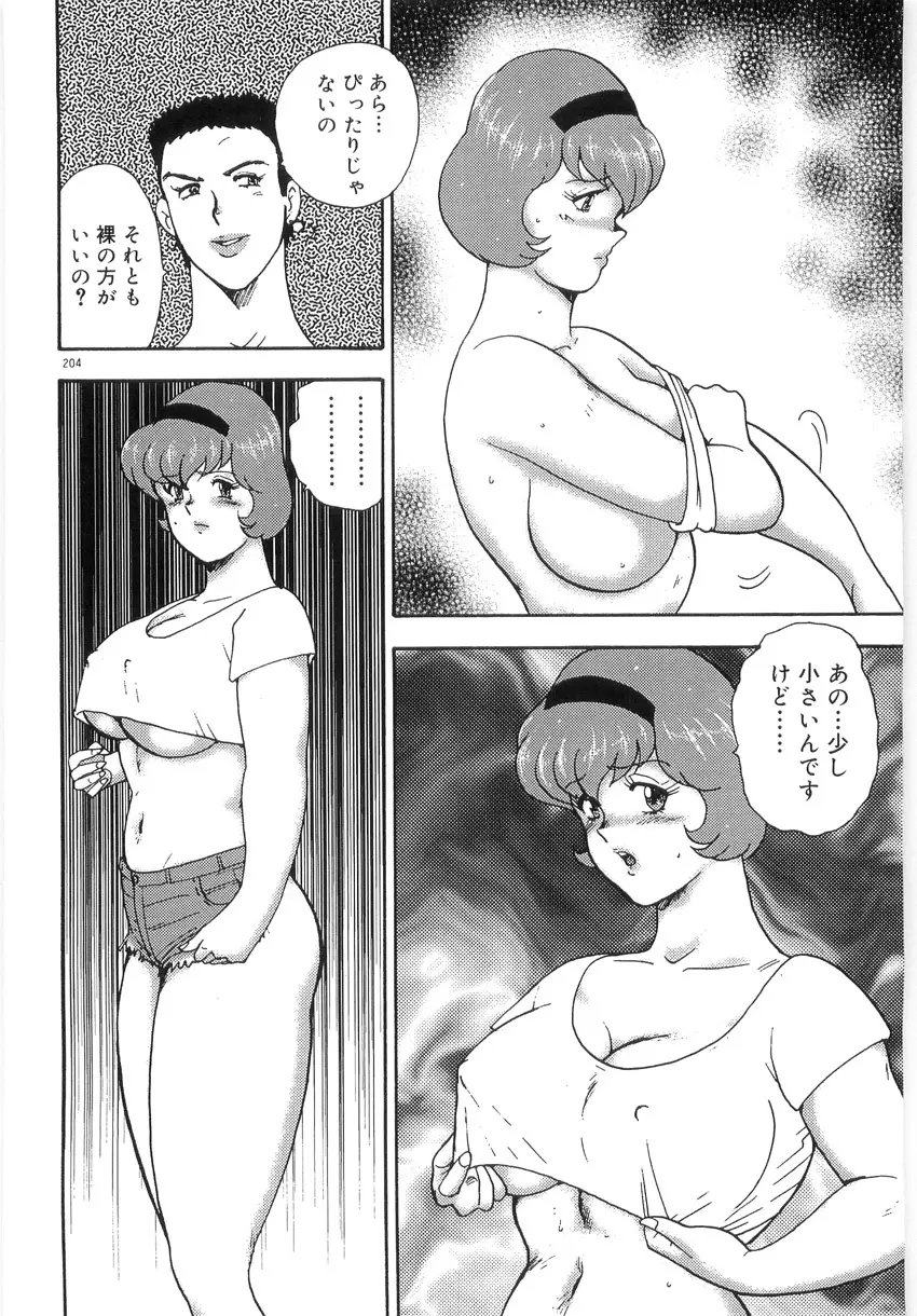 美姉妹シリーズ2 美姉妹屈辱教室 Page.208