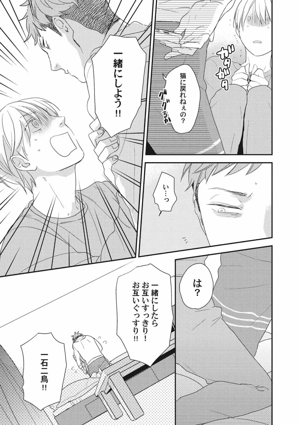 気まぐれご主人とおしかけ猫 Page.29