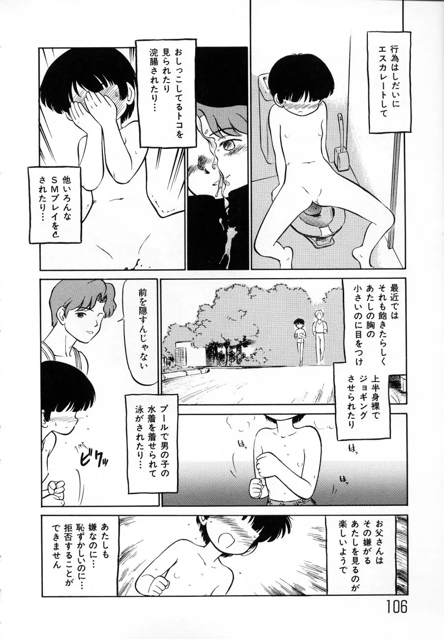 少女伝説ミレニアム Page.109