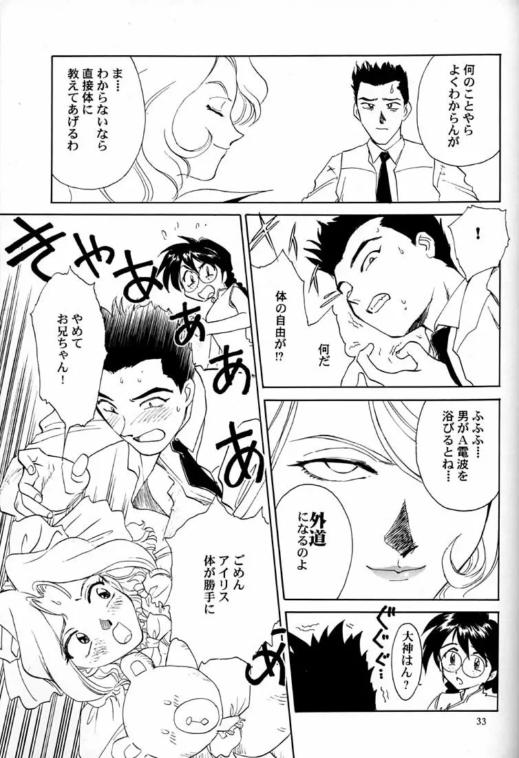 芍薬 牡丹 百合の花 Page.34