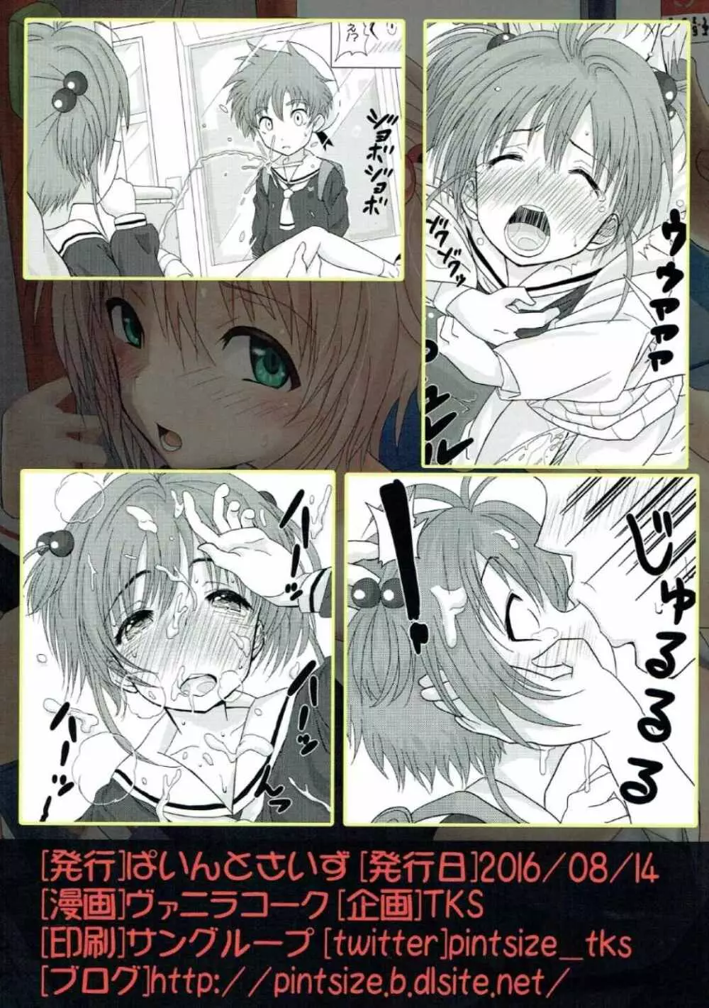SAKURA BREAK2 ～悪夢の集団痴漢バス～ Page.26