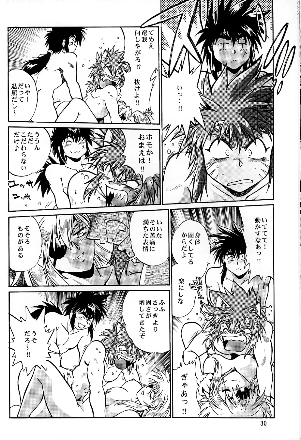 裏銀河戦国群雄伝 南天編 Page.29