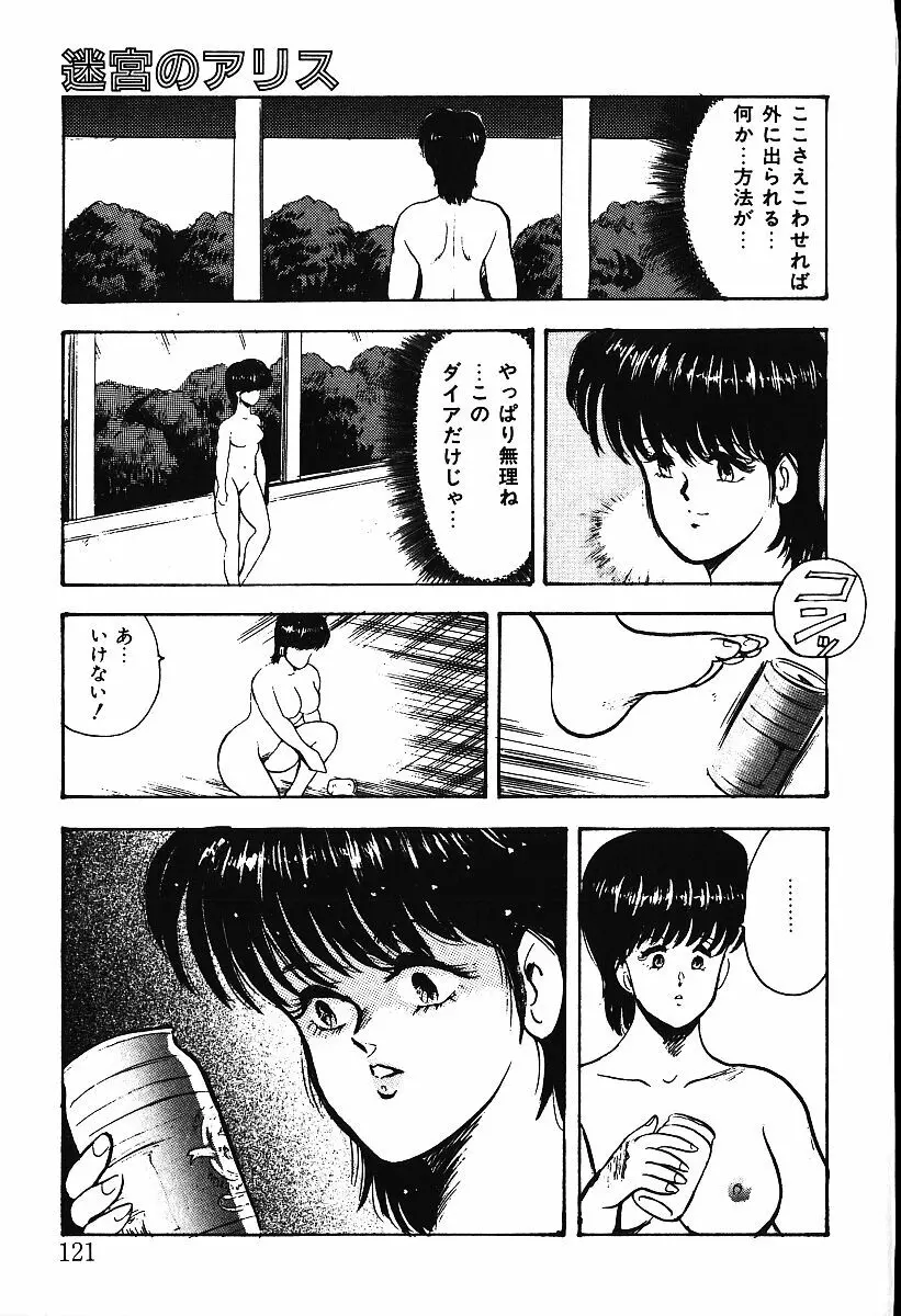 迷宮のアリス Page.118