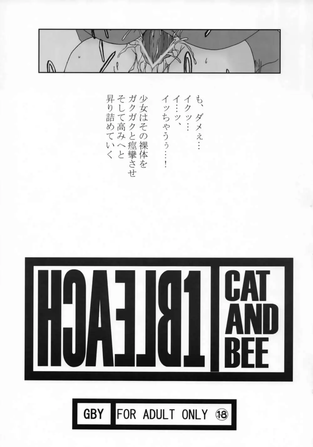 HCAELB -裏ブリーチ- Page.2