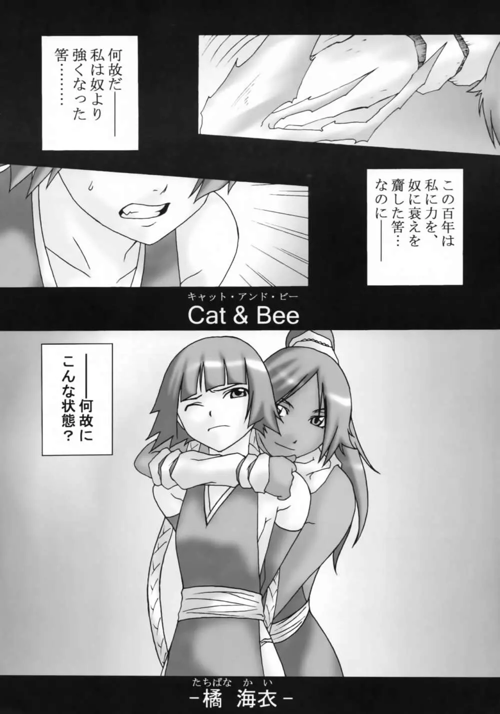 HCAELB -裏ブリーチ- Page.4