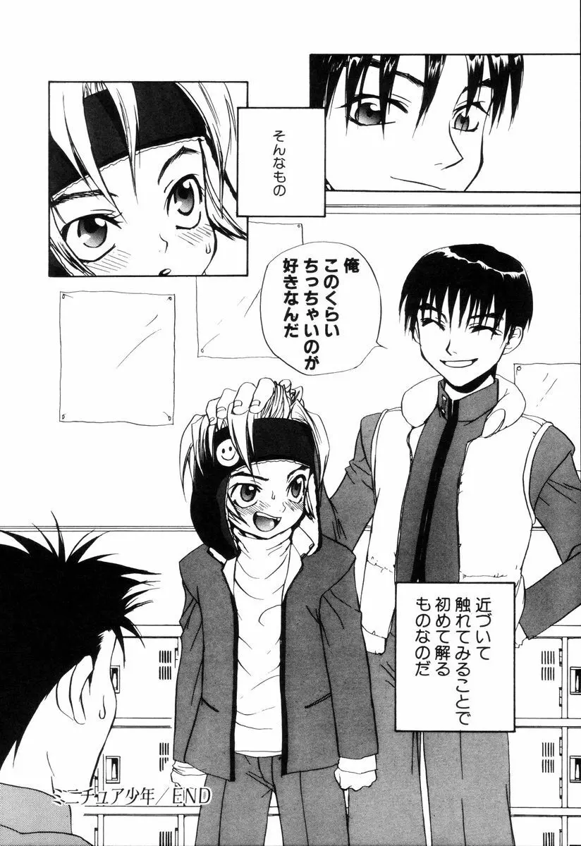 ミニチュアカオス Page.144