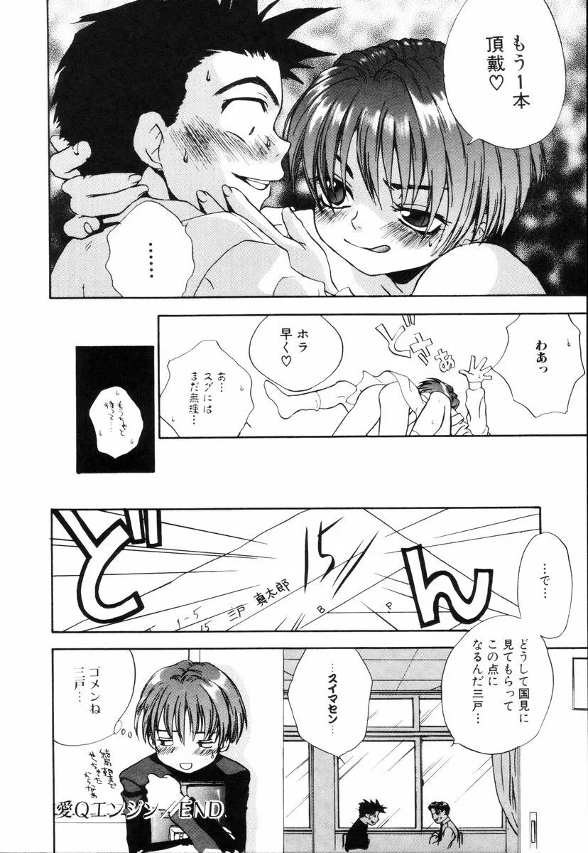 ミニチュアカオス Page.28