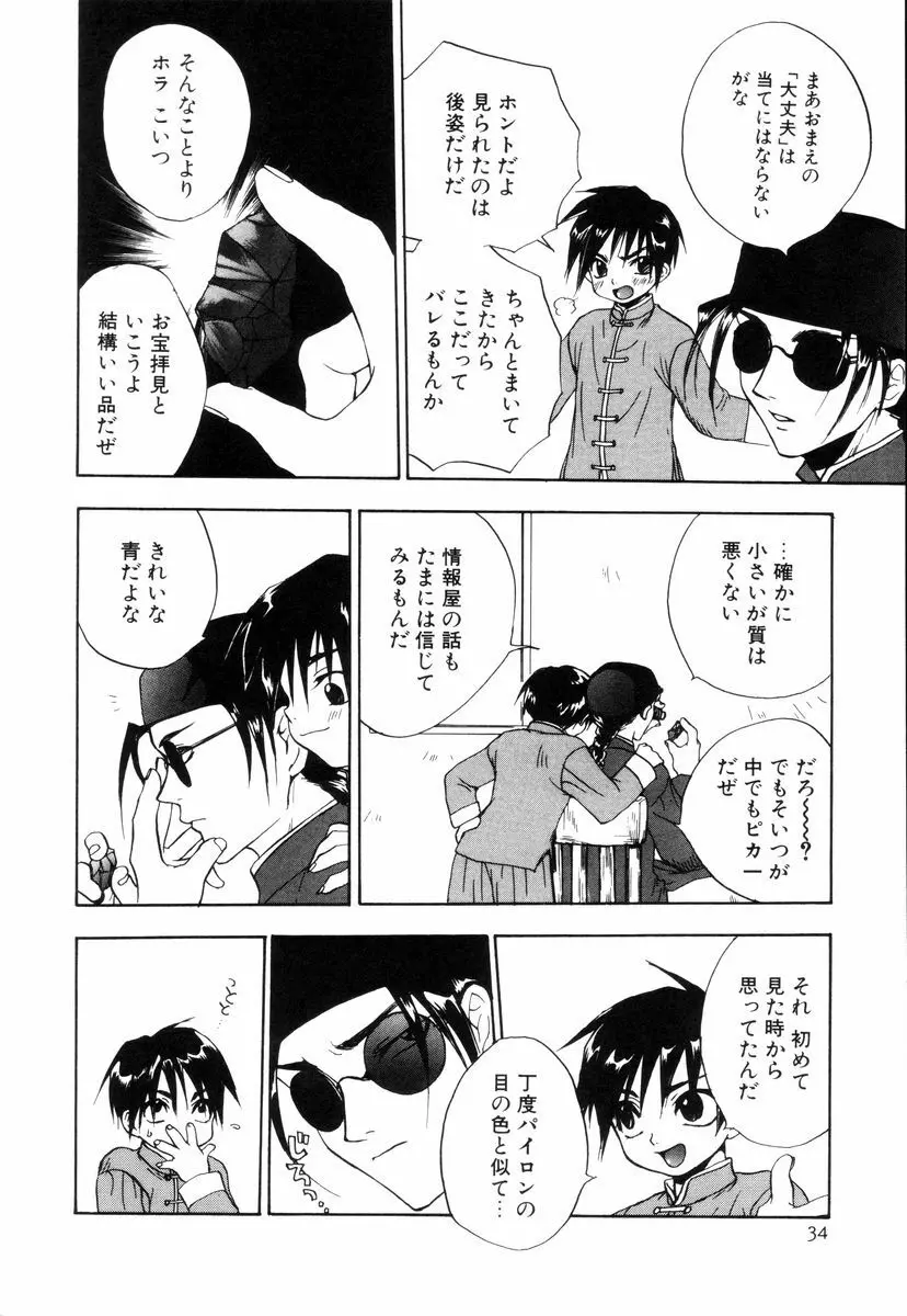 ミニチュアカオス Page.36