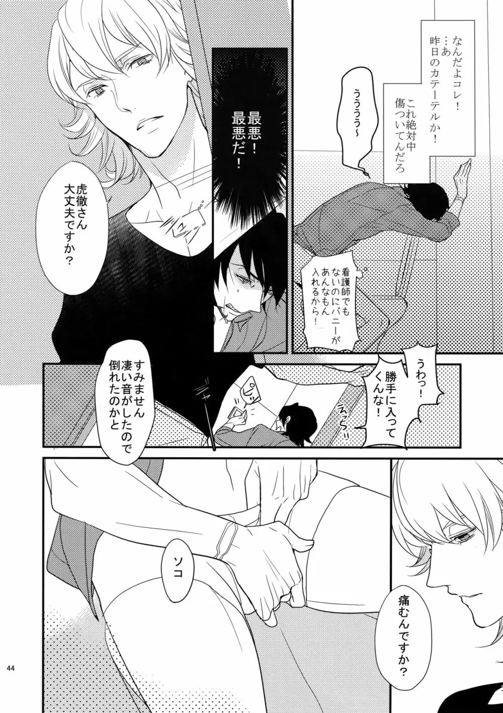 BOROZS兎虎再録 Page.43