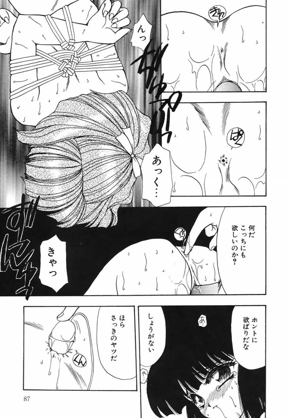 馬酔木 －あせみ－ Page.87