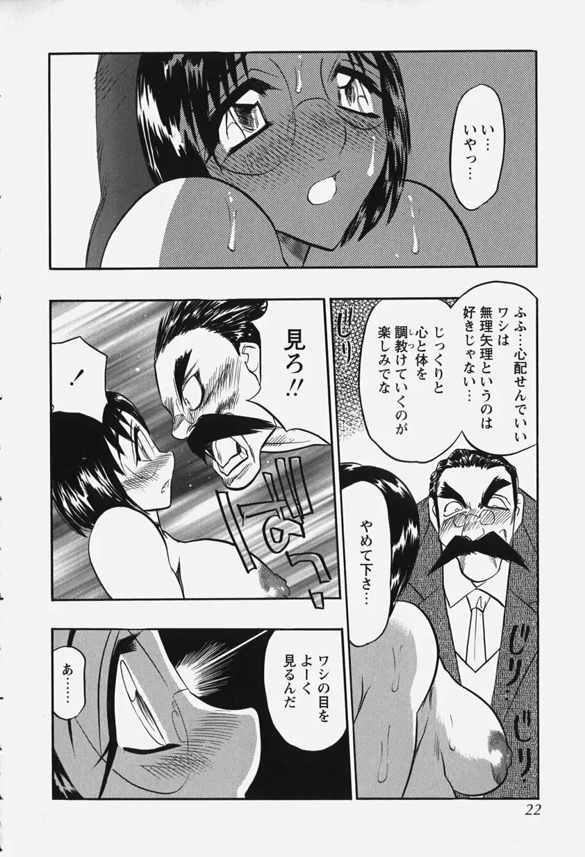 恥辱の肉人形 Page.28