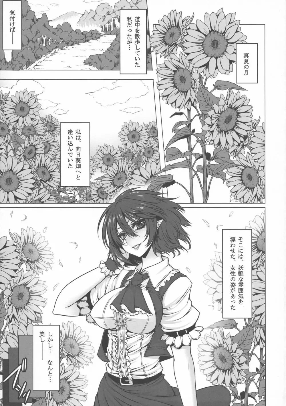 夢の境界 総集編 Page.13