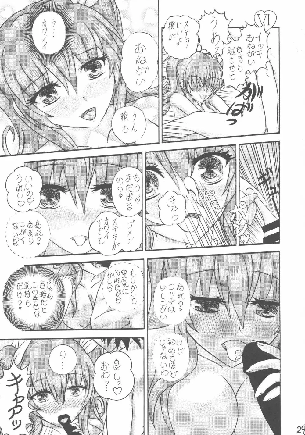 運命先夜の聖儀式 Page.29