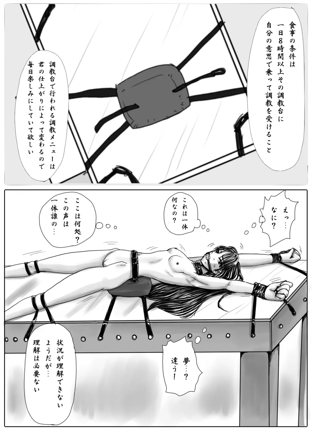 女学生監禁調教～拘束針刺し電流～ Page.5