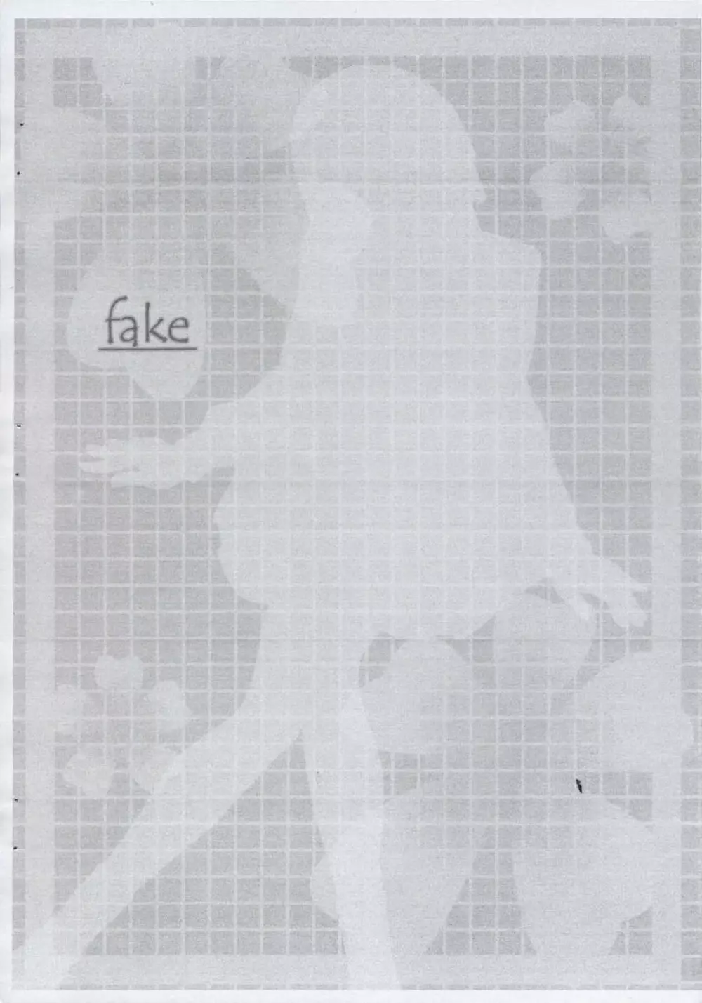 fake Page.3