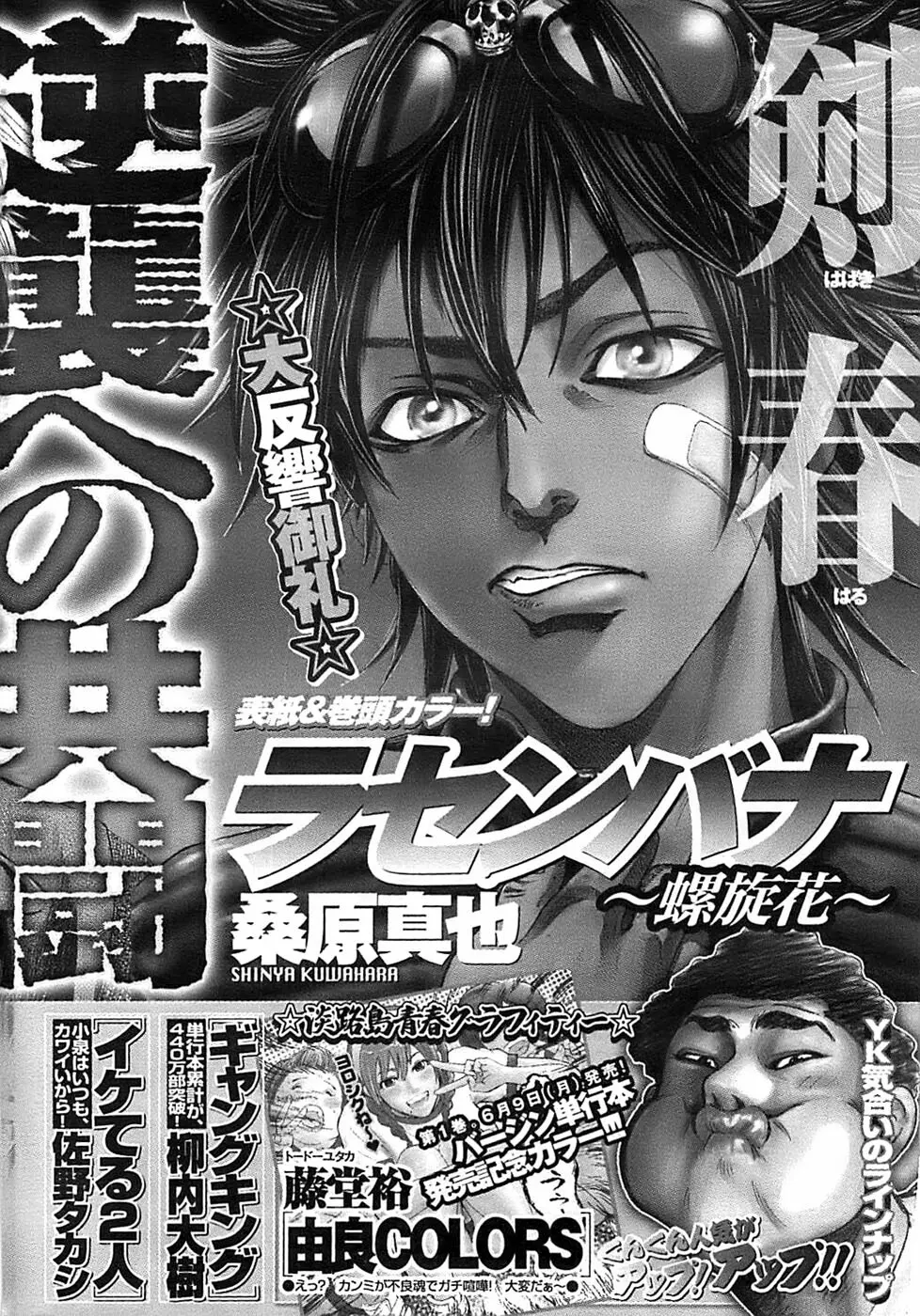 ヤングコミック 2008年7月号 Page.303