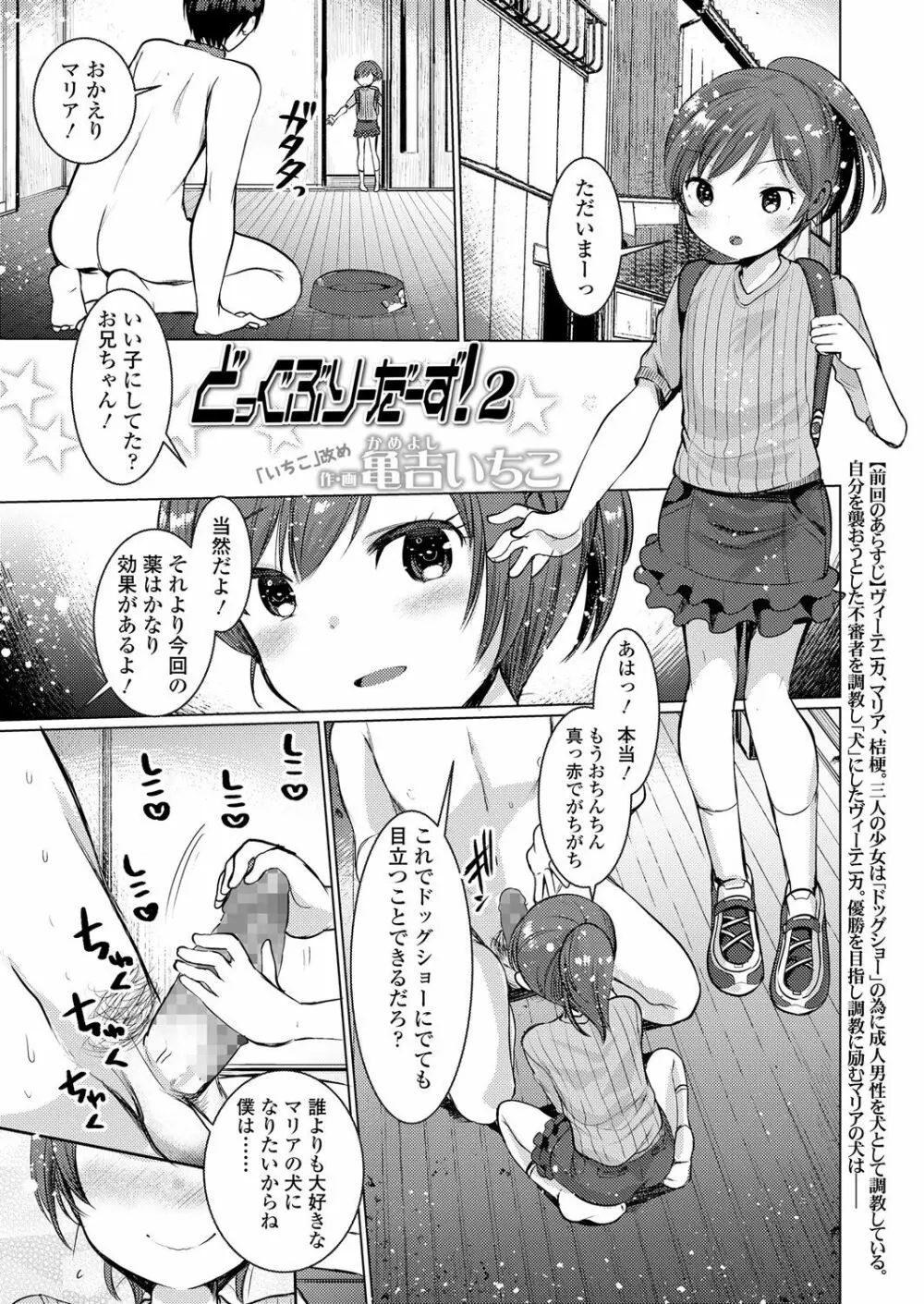 ガールズフォーム Vol.17 Page.337